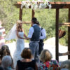 Fruitwood arch with bride and groom