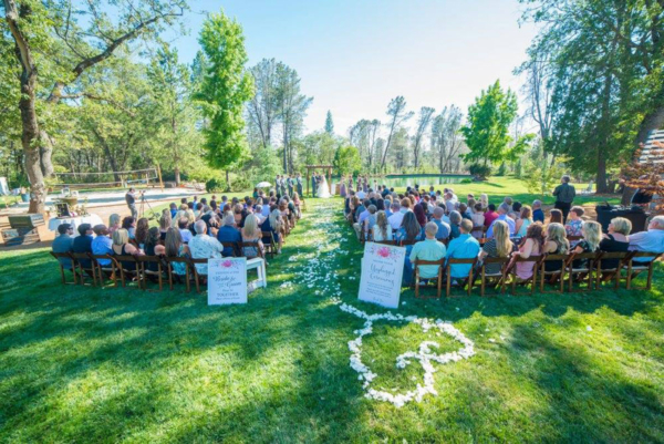 Fruitwood chairs used at an outdoor ceremony.