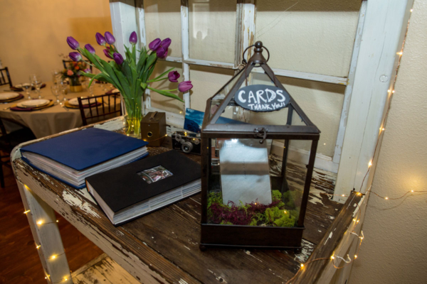 Terrarium card holder